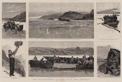 The Pilchard-Fishing Industry at St Ive